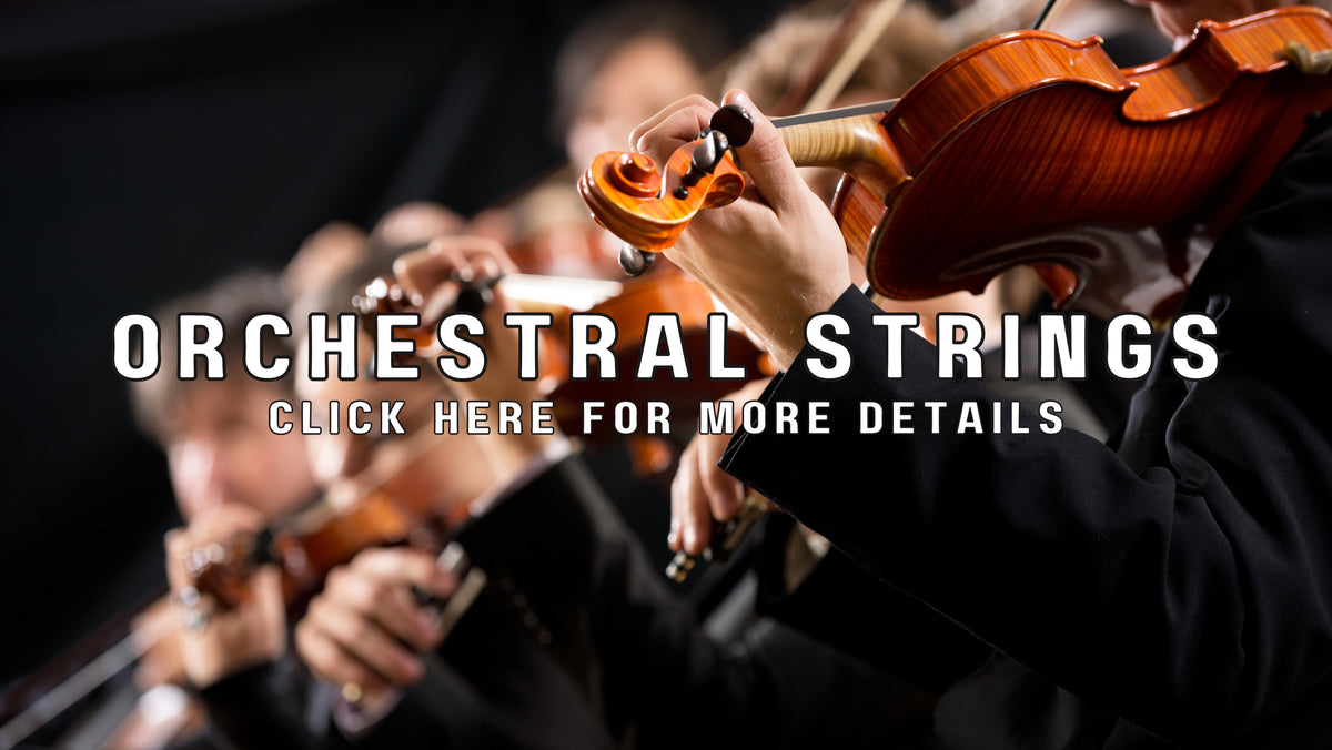 Orchestral String Instruments – American Music Company