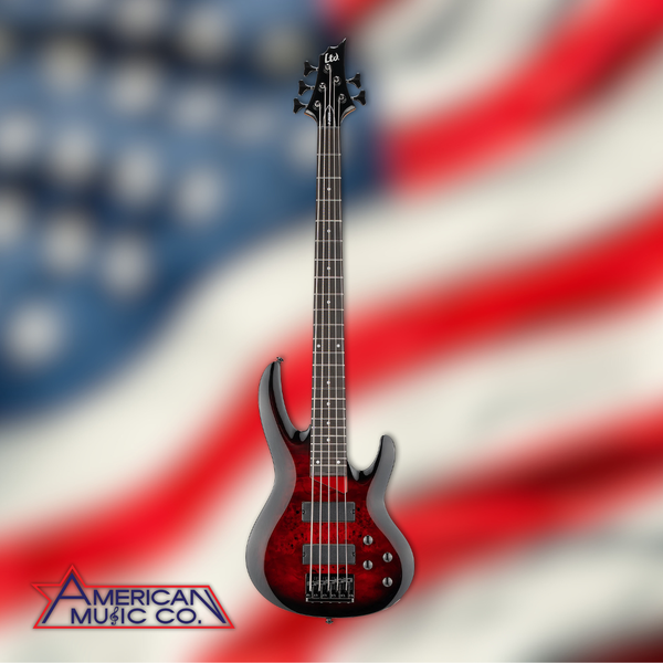 ESP LTD B-205DX 5 String Electric Bass Guitar in Red Burst (PRE ORDER)