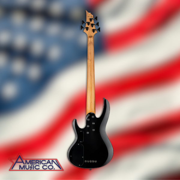 ESP LTD B-205DX 5 String Electric Bass Guitar in Red Burst (PRE ORDER)